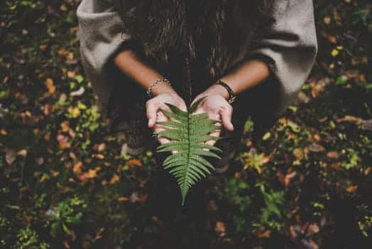 Theories of Addiction: Breaking it Down