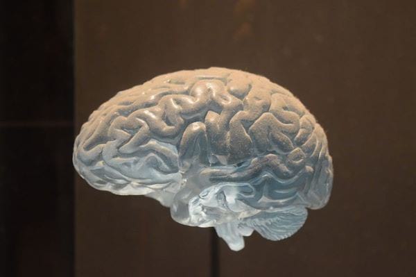 The Physical, Behavioral, and Emotional Signs of Addiction: What to Look Out for