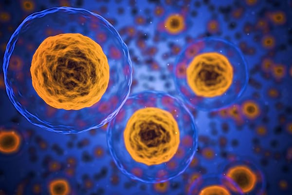 Can You Get Diseases from Drugs?