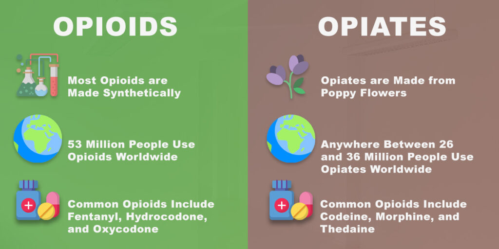 How Long Do opioids Stay in Your System