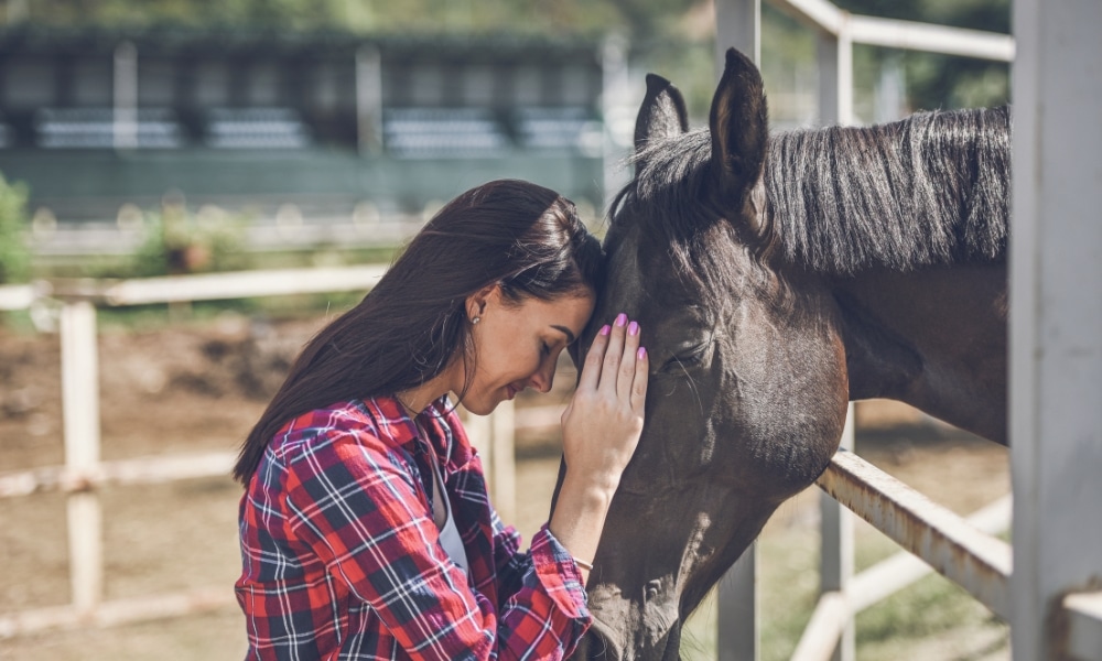Equine-Assisted Therapy