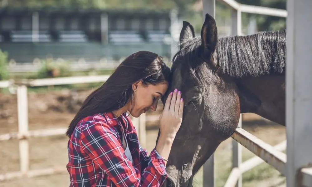 Equine-Assisted Therapy
