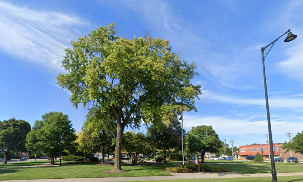 Palatine, illinois